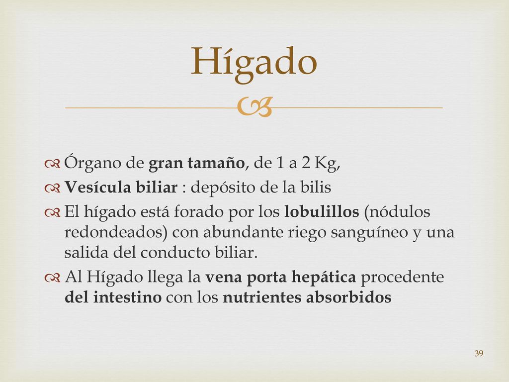 Hígado Órgano de gran tamaño, de 1 a 2 Kg,