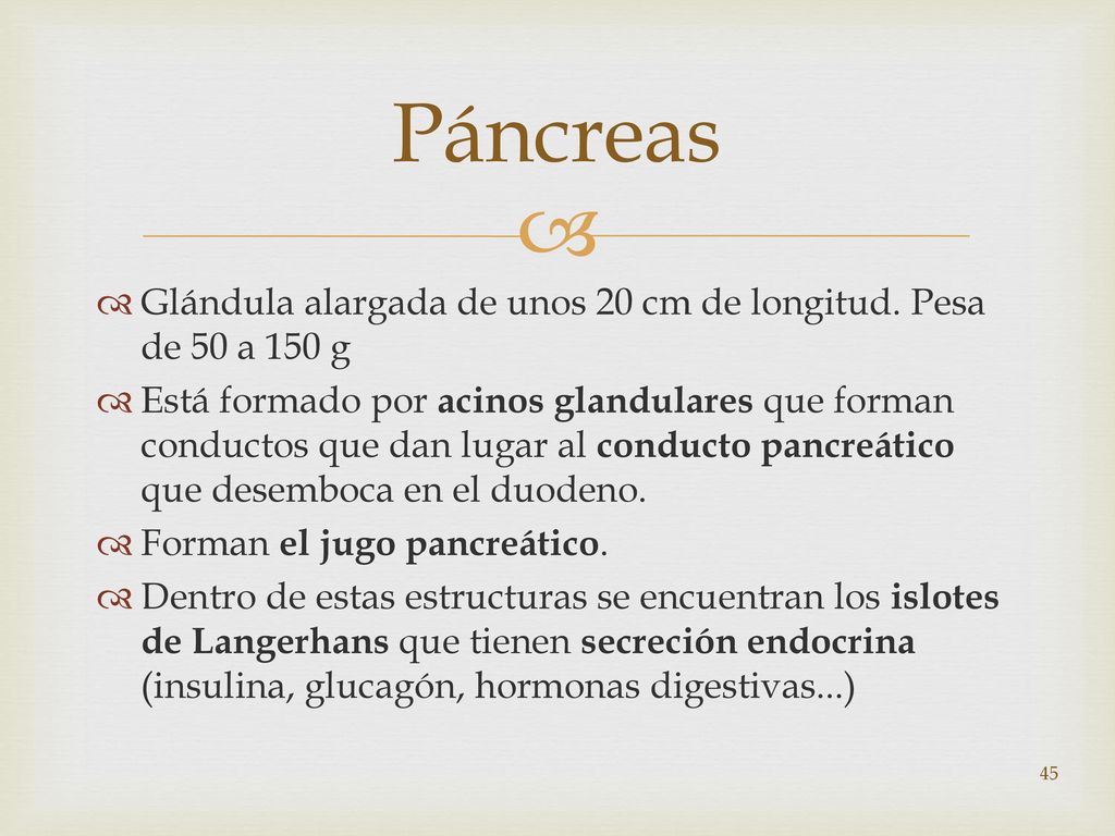 Páncreas Glándula alargada de unos 20 cm de longitud. Pesa de 50 a 150 g.