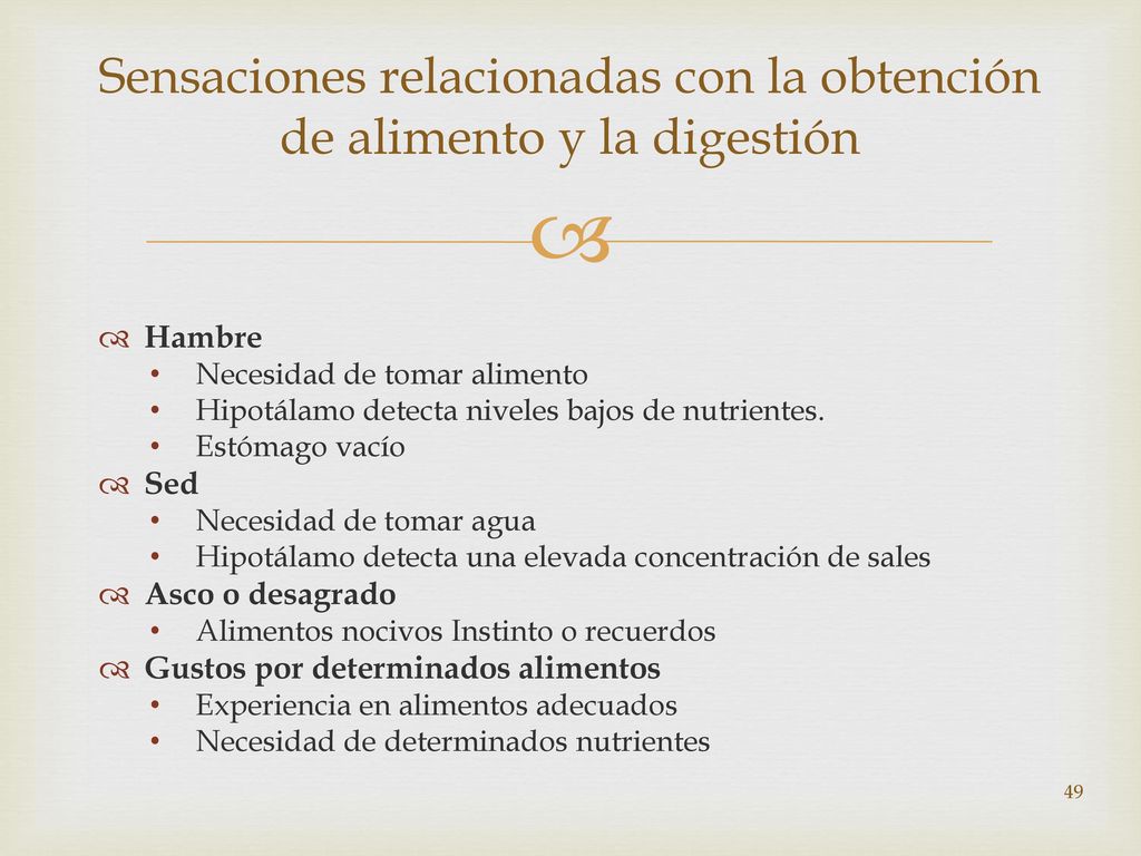 Sensaciones relacionadas con la obtención de alimento y la digestión