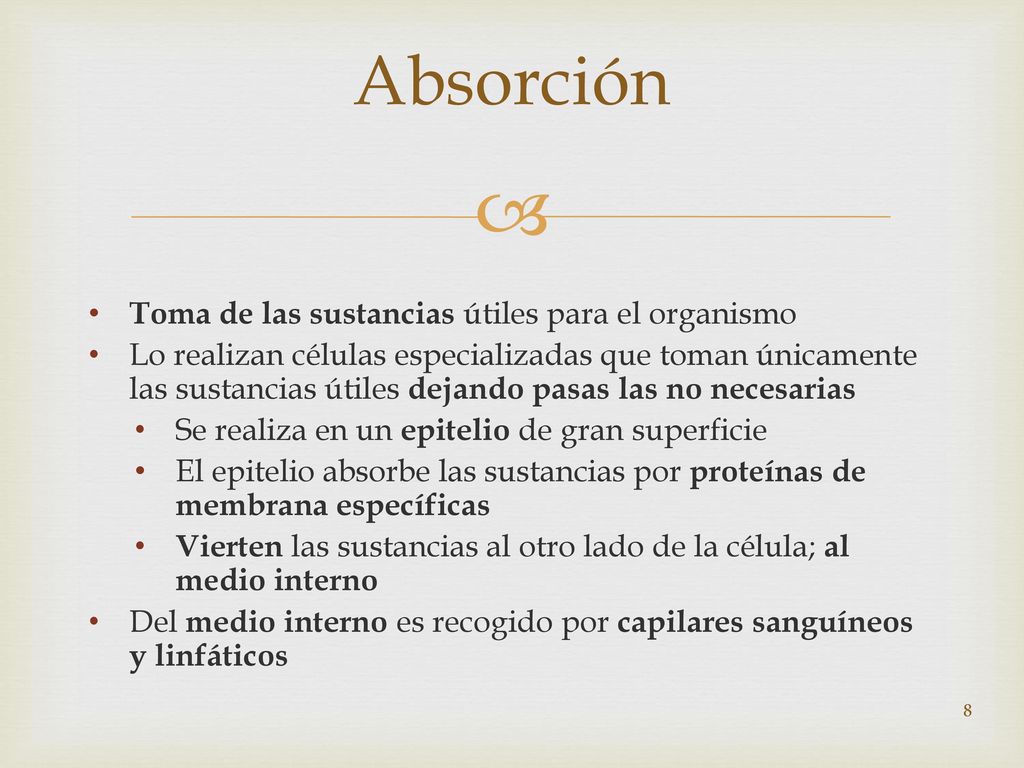Absorción Toma de las sustancias útiles para el organismo