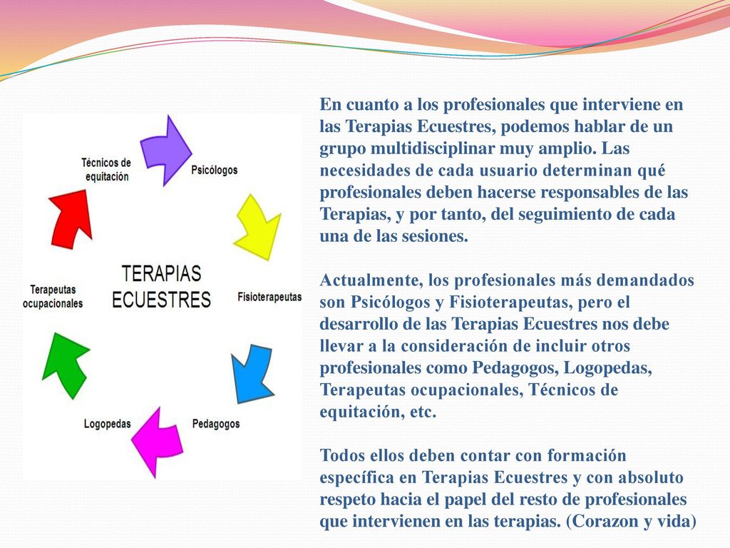 En cuanto a los profesionales que interviene en las Terapias Ecuestres, podemos hablar de un grupo multidisciplinar muy amplio.