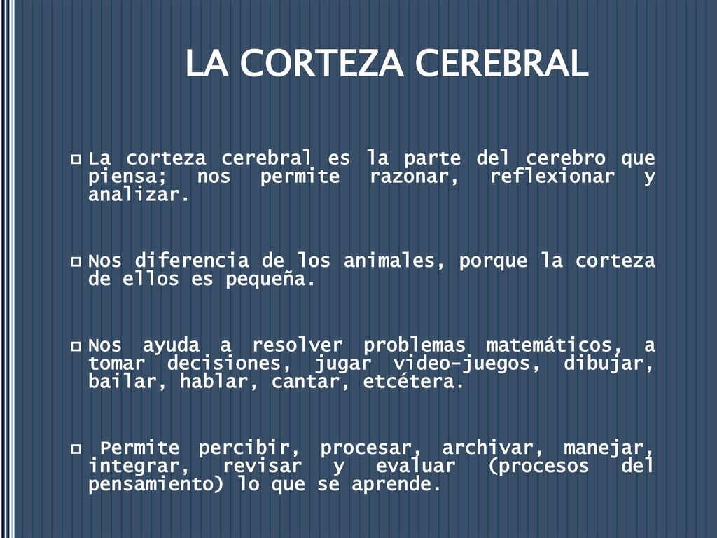 LA CORTEZA CEREBRAL La corteza cerebral es la parte del cerebro que piensa; nos permite razonar, reflexionar y analizar.