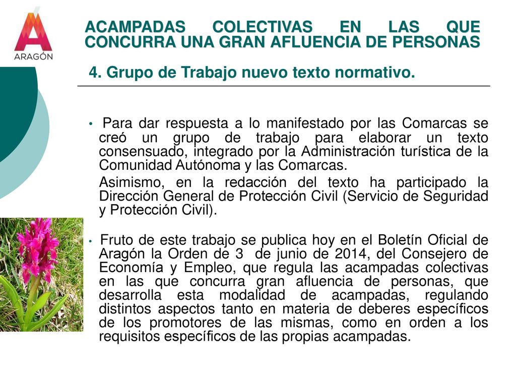 ACAMPADAS COLECTIVAS EN LAS QUE CONCURRA UNA GRAN AFLUENCIA DE PERSONAS 4. Grupo de Trabajo nuevo texto normativo.