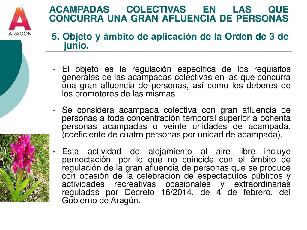 ACAMPADAS COLECTIVAS EN LAS QUE CONCURRA UNA GRAN AFLUENCIA DE PERSONAS 5. Objeto y ámbito de aplicación de la Orden de 3 de junio.