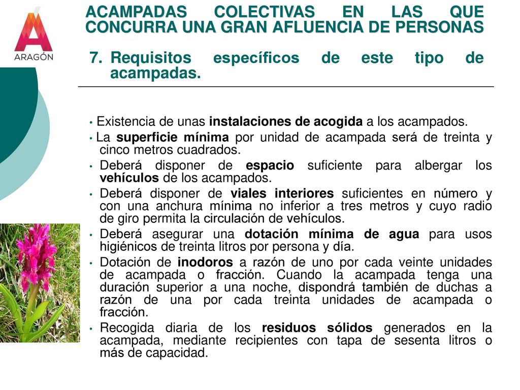 ACAMPADAS COLECTIVAS EN LAS QUE CONCURRA UNA GRAN AFLUENCIA DE PERSONAS 7. Requisitos específicos de este tipo de acampadas.