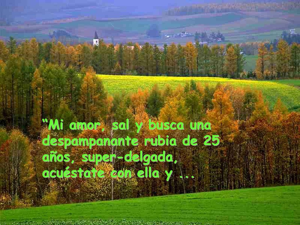 Mi amor, sal y busca una despampanante rubia de 25 años, super-delgada, acuéstate con ella y ...