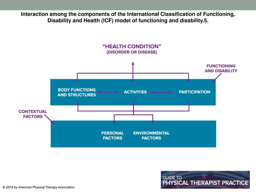Interaction among the components of the International Classification of Functioning, Disability and Health (ICF) model of functioning and disability.5.