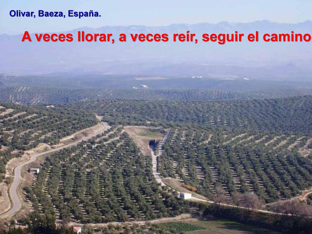 A veces llorar, a veces reír, seguir el camino.