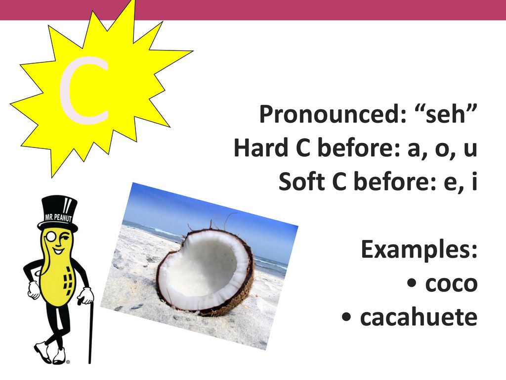 C Pronounced: seh Hard C before: a, o, u Soft C before: e, i