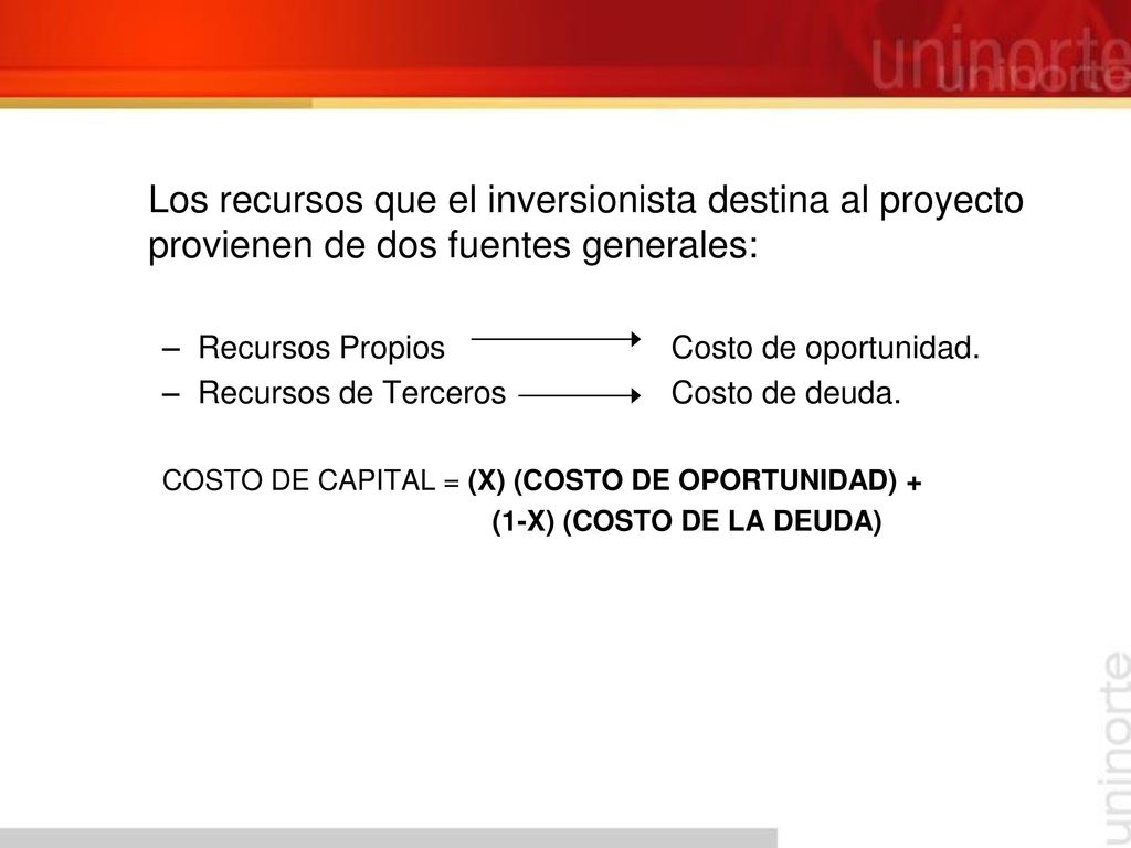 Los recursos que el inversionista destina al proyecto provienen de dos fuentes generales: