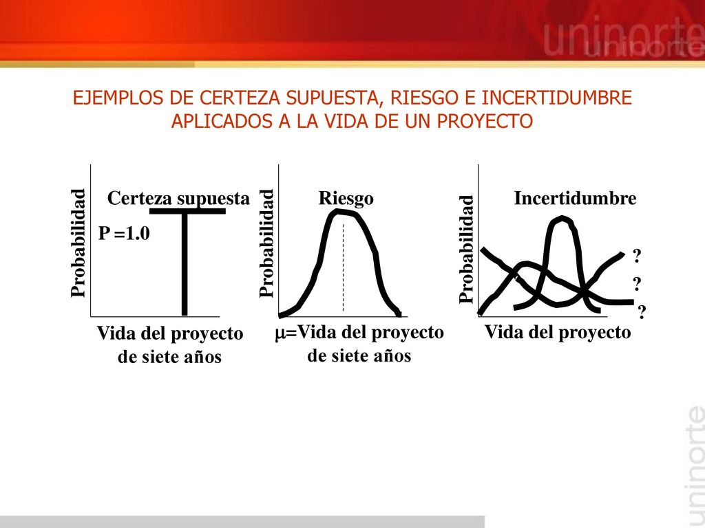 Vida del proyecto de siete años =Vida del proyecto de siete años