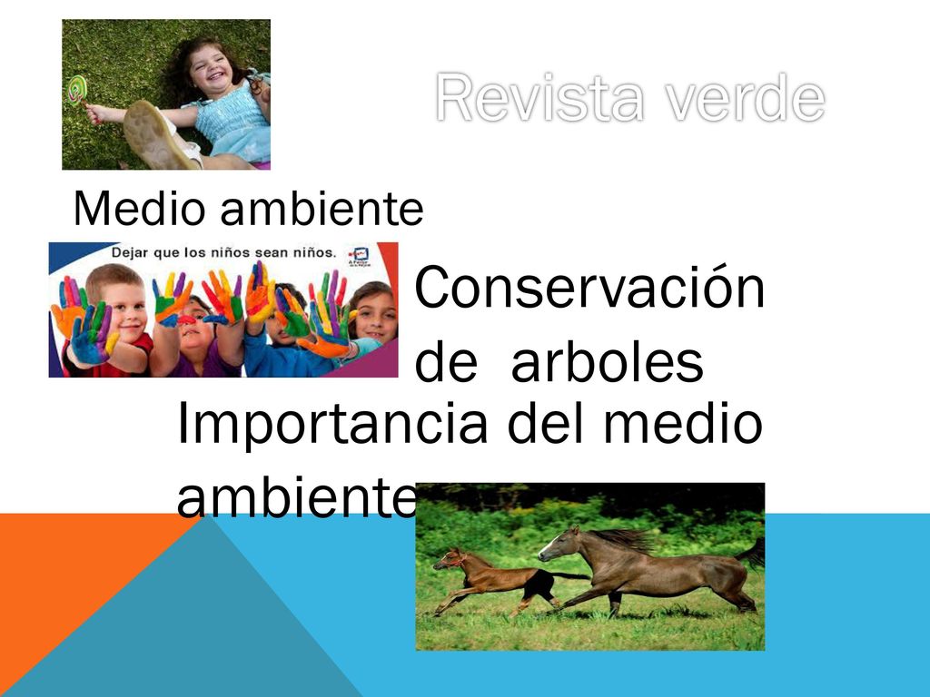 Revista verde Conservación de arboles Importancia del medio ambiente