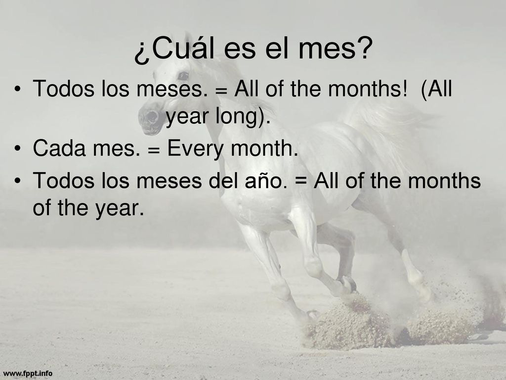 ¿Cuál es el mes Todos los meses. = All of the months! (All year long). Cada mes. = Every month.