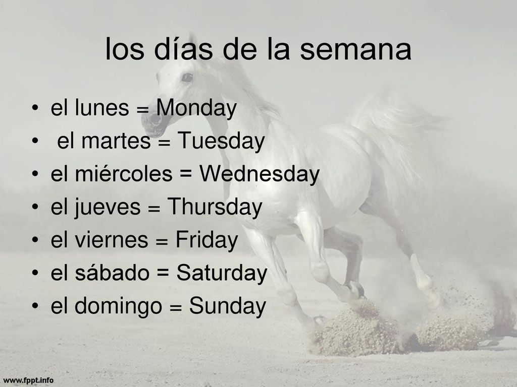 los días de la semana el lunes = Monday el martes = Tuesday