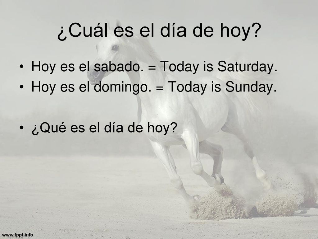 ¿Cuál es el día de hoy Hoy es el sabado. = Today is Saturday.