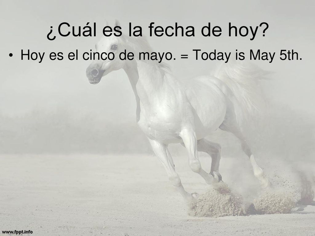 ¿Cuál es la fecha de hoy Hoy es el cinco de mayo. = Today is May 5th.