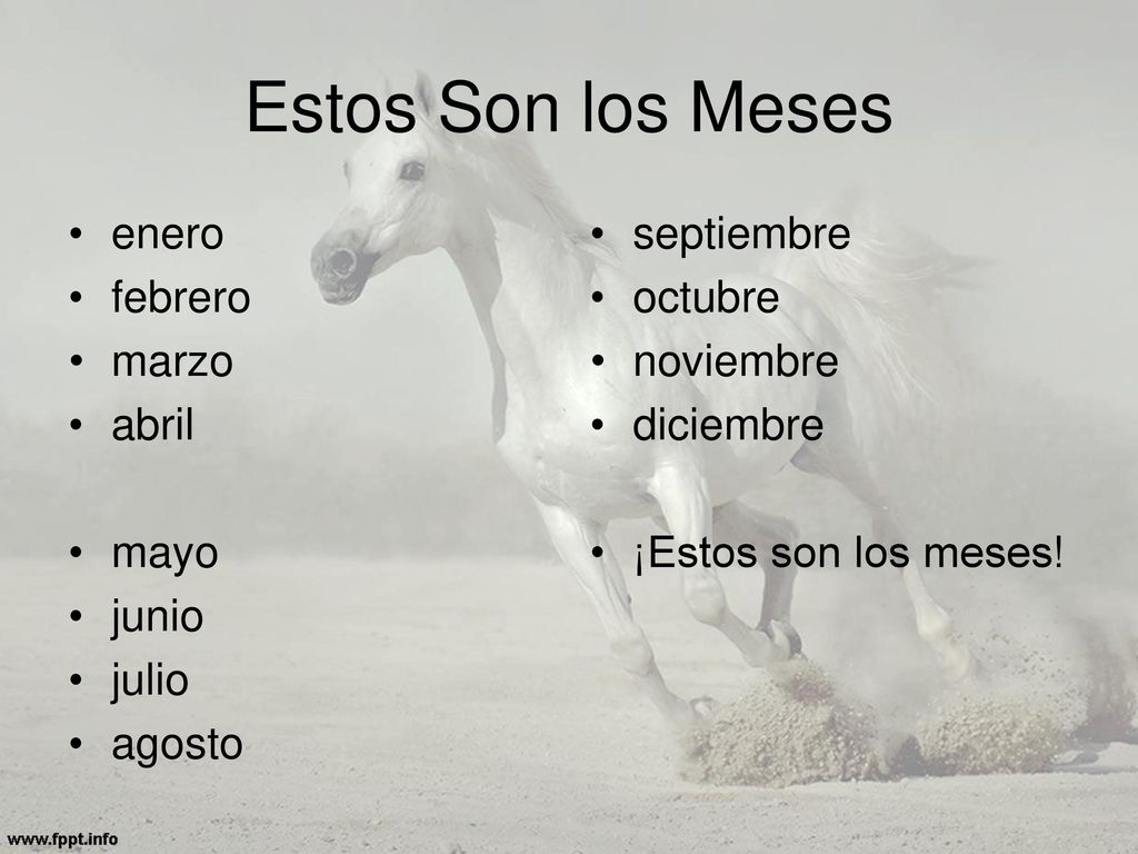 Estos Son los Meses enero febrero marzo abril mayo junio julio agosto