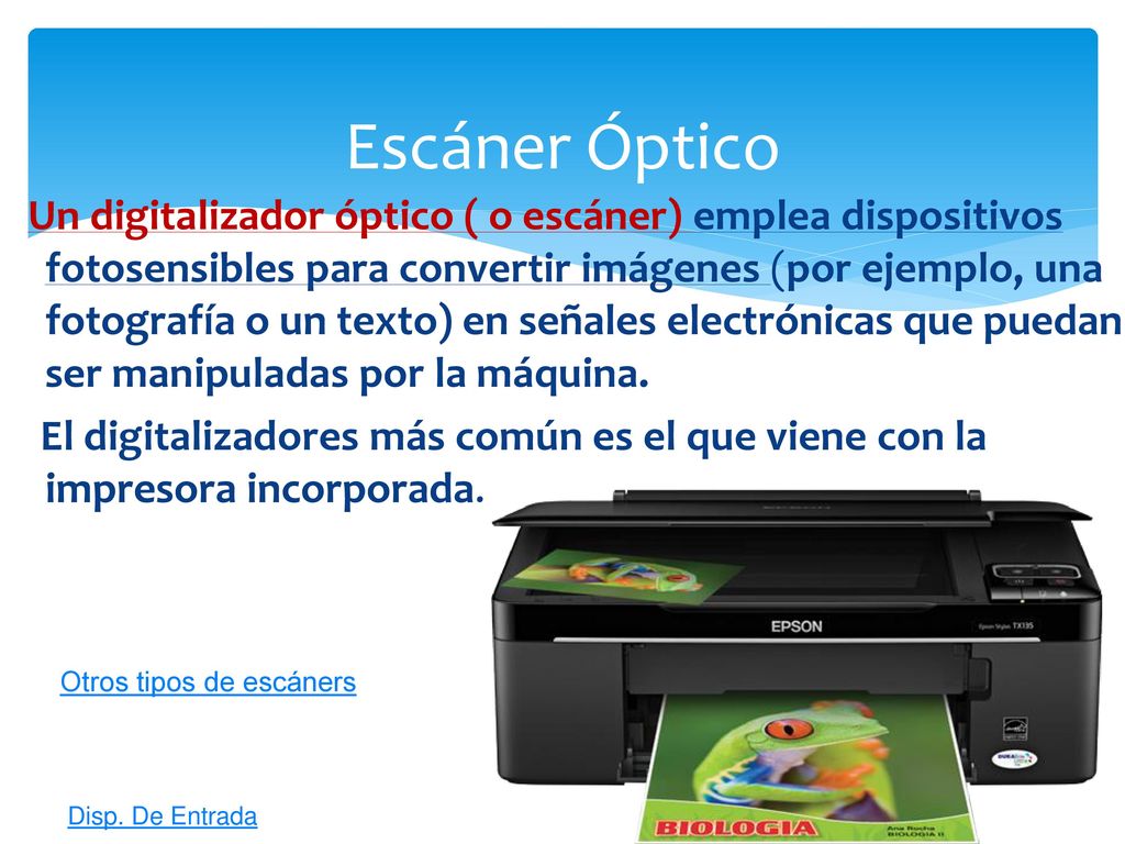 Un digitalizador óptico ( o escáner) emplea dispositivos fotosensibles para convertir imágenes (por ejemplo, una fotografía o un texto) en señales electrónicas que puedan ser manipuladas por la máquina.