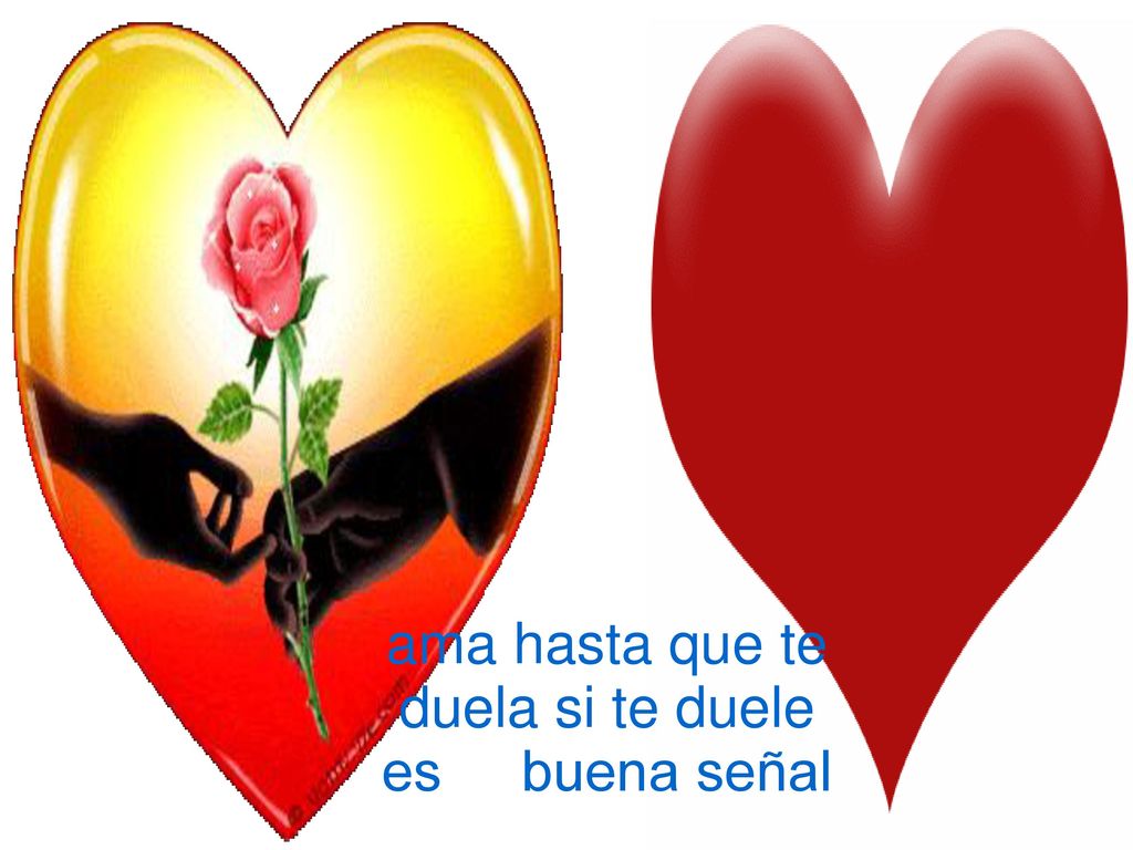 ama hasta que te duela si te duele es buena señal