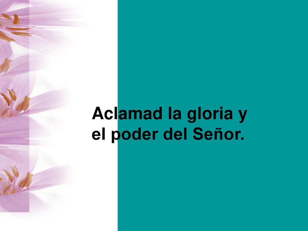 Aclamad la gloria y el poder del Señor.