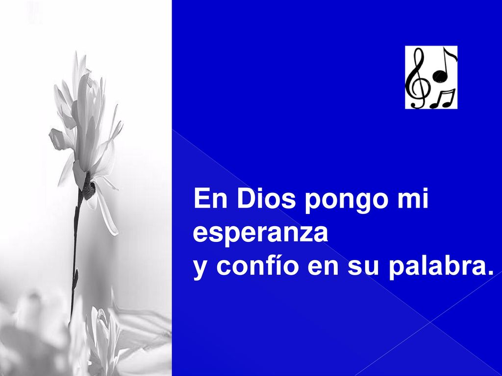 En Dios pongo mi esperanza y confío en su palabra.