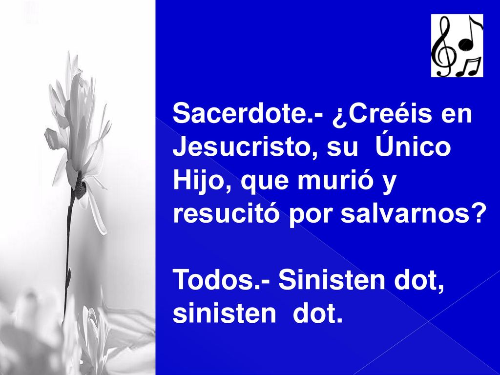 Sacerdote.- ¿Creéis en Jesucristo, su Único. Hijo, que murió y. resucitó por salvarnos Todos.- Sinisten dot,