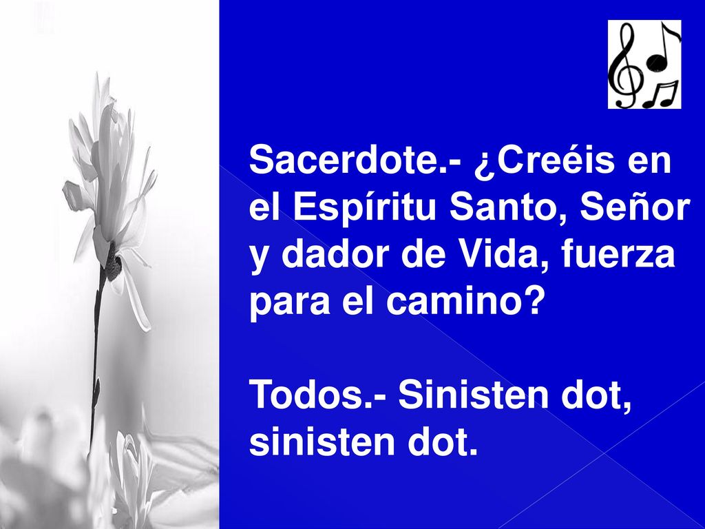 Sacerdote.- ¿Creéis en el Espíritu Santo, Señor. y dador de Vida, fuerza. para el camino Todos.- Sinisten dot,