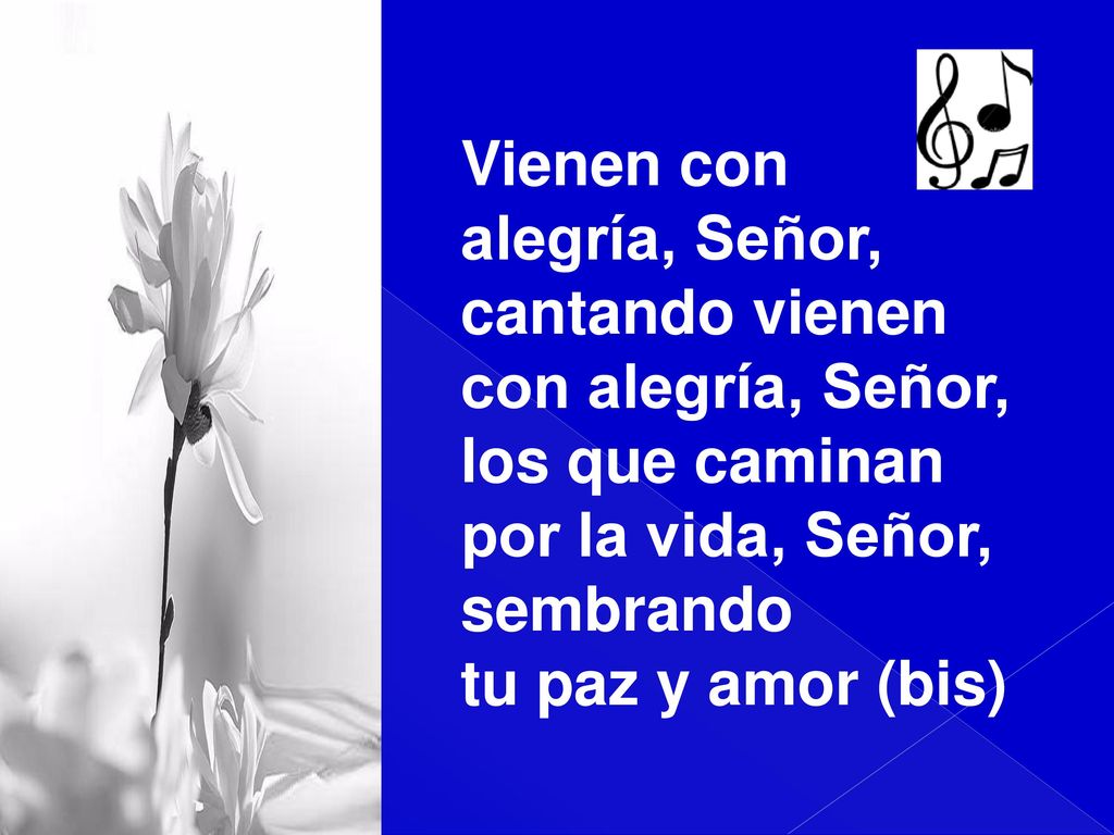 Vienen con alegría, Señor, cantando vienen con alegría, Señor, los que caminan. por la vida, Señor,