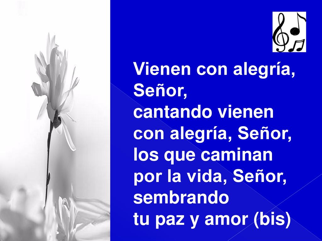 Vienen con alegría, Señor, cantando vienen. con alegría, Señor, los que caminan. por la vida, Señor,