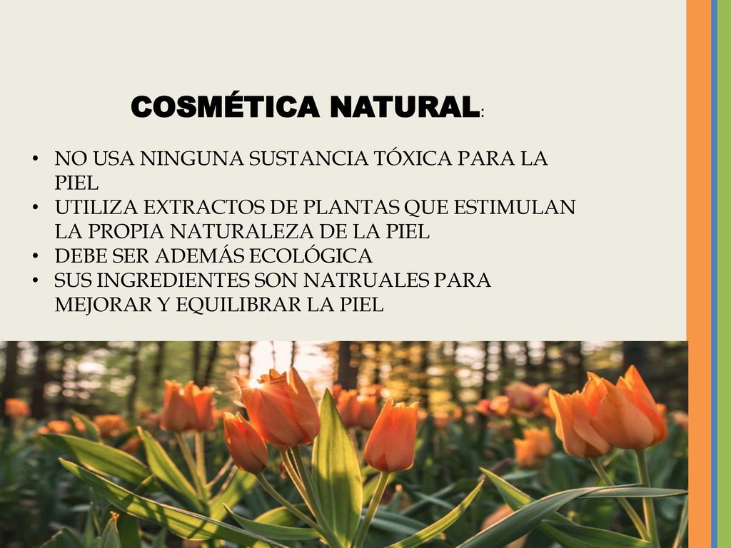 COSMÉTICA NATURAL: NO USA NINGUNA SUSTANCIA TÓXICA PARA LA PIEL