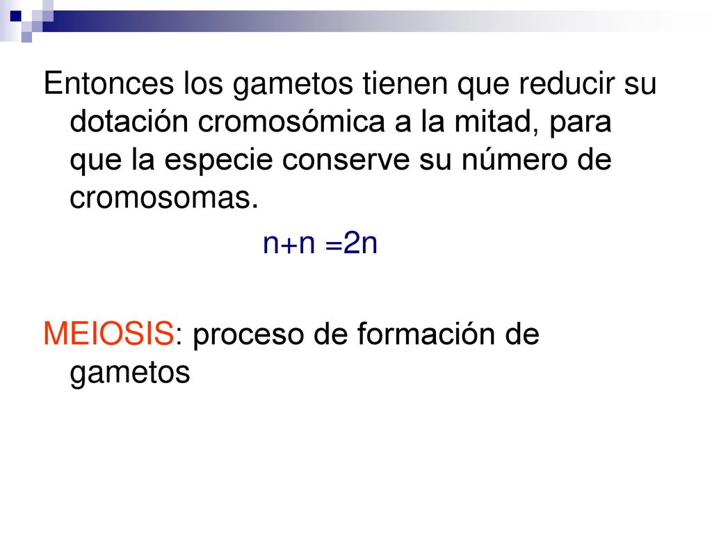 Entonces los gametos tienen que reducir su dotación cromosómica a la mitad, para que la especie conserve su número de cromosomas.