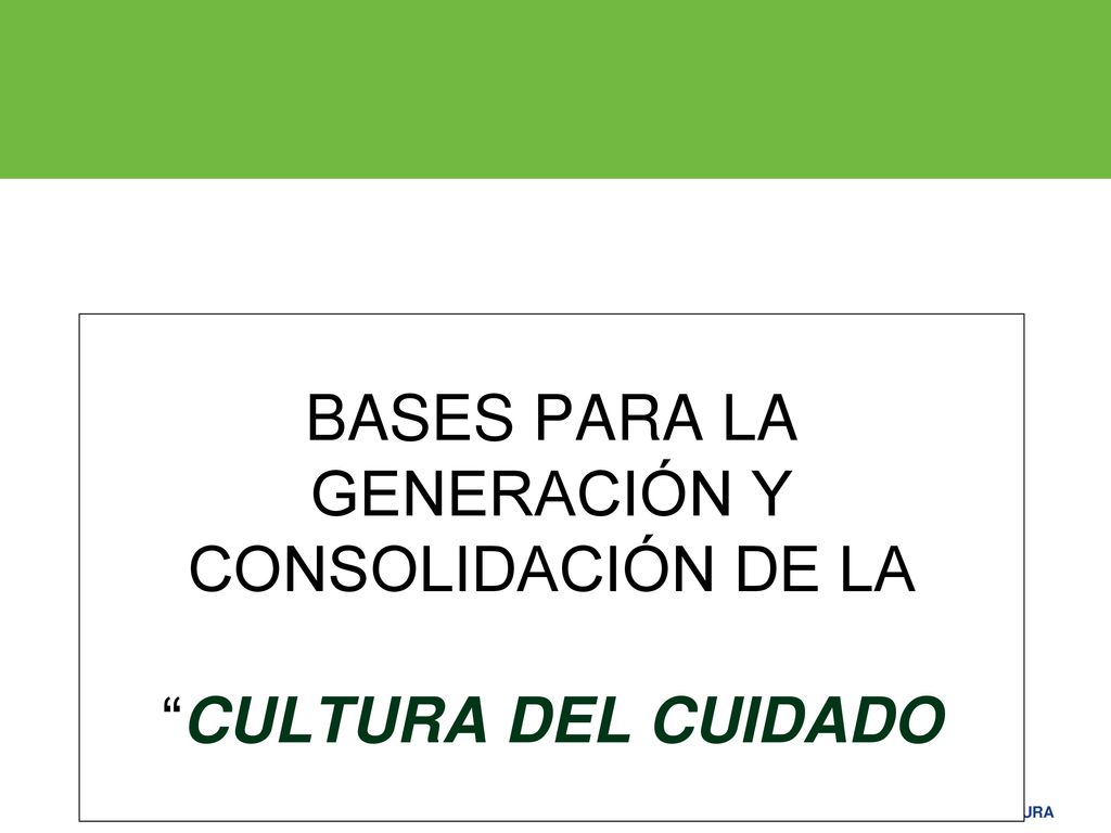 BASES PARA LA GENERACIÓN Y CONSOLIDACIÓN DE LA CULTURA DEL CUIDADO