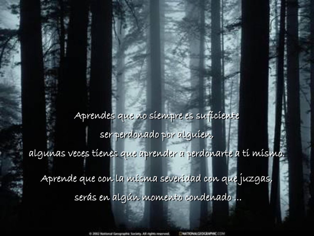 Aprendes que no siempre es suficiente ser perdonado por alguien,