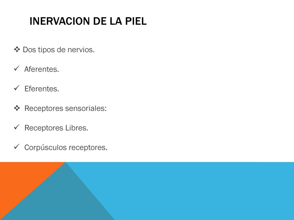 INERVACION DE LA PIEL Dos tipos de nervios. Aferentes. Eferentes.