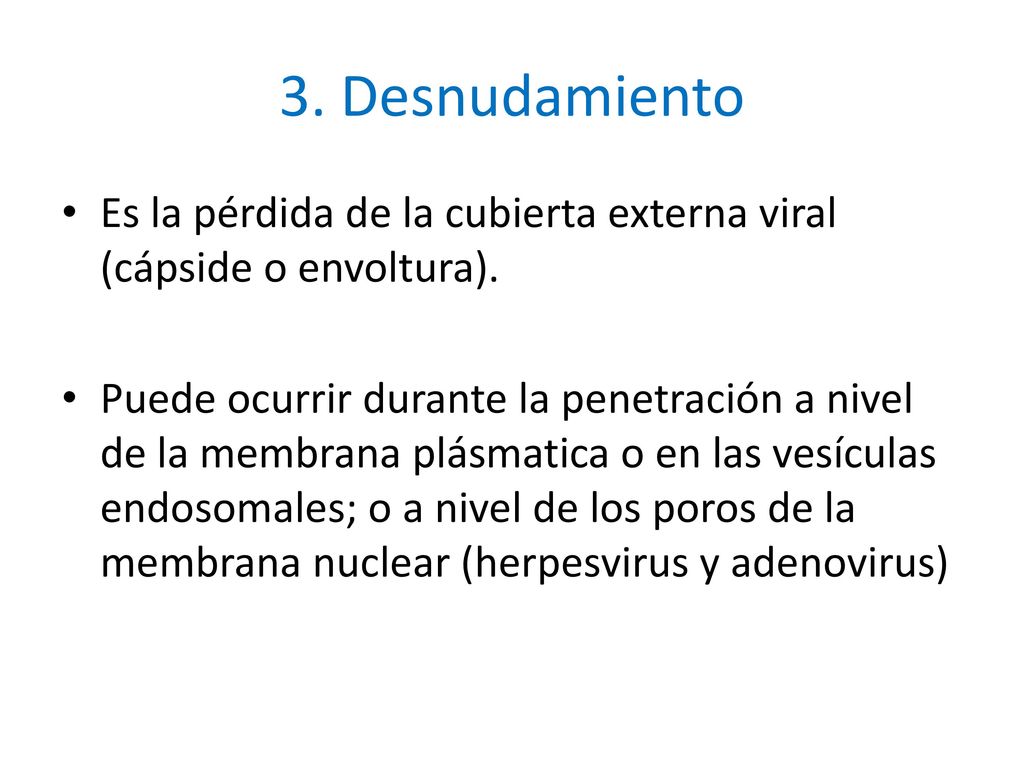 3. Desnudamiento Es la pérdida de la cubierta externa viral (cápside o envoltura).