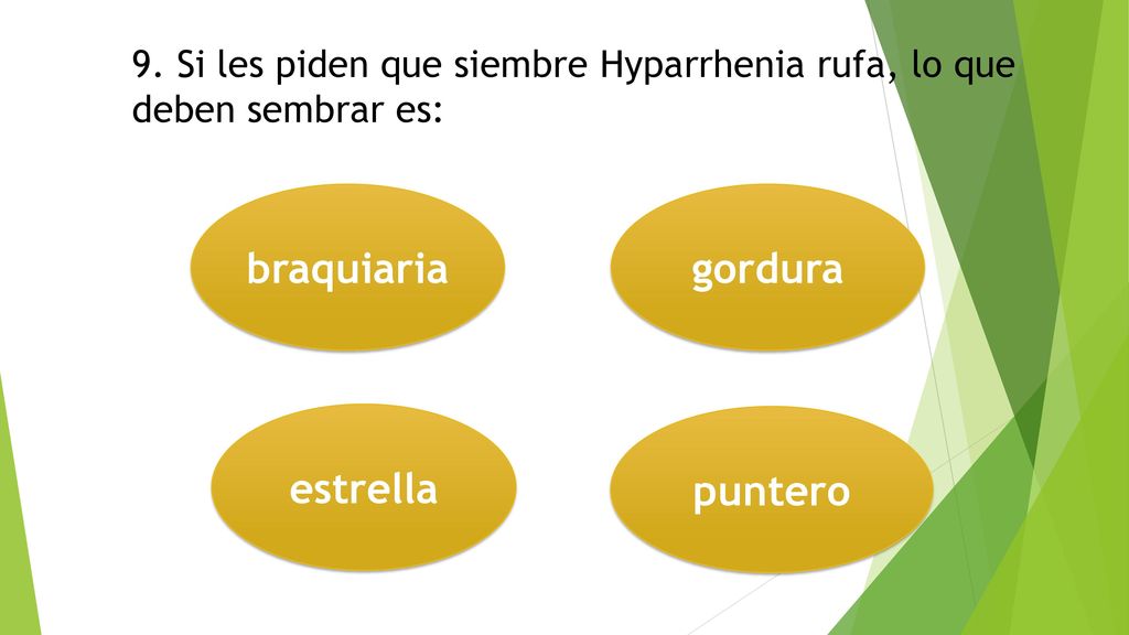 9. Si les piden que siembre Hyparrhenia rufa, lo que deben sembrar es: