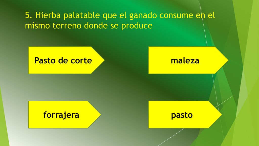 5. Hierba palatable que el ganado consume en el mismo terreno donde se produce