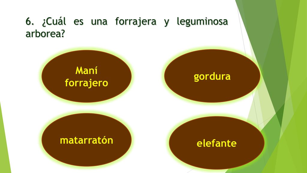 6. ¿Cuál es una forrajera y leguminosa arborea