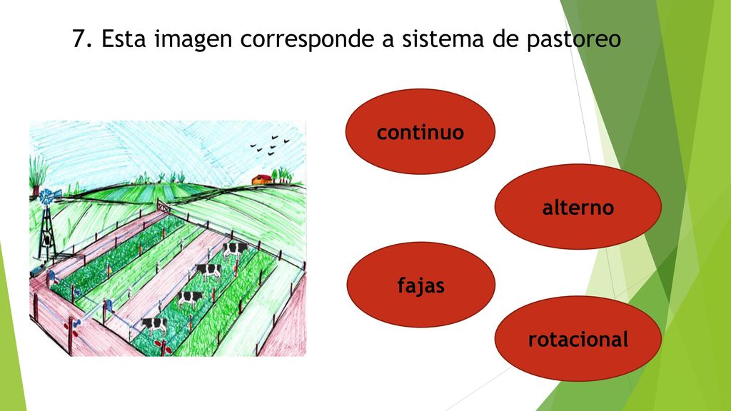 7. Esta imagen corresponde a sistema de pastoreo