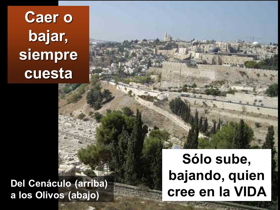 Caer o bajar, siempre cuesta Sólo sube, bajando, quien cree en la VIDA