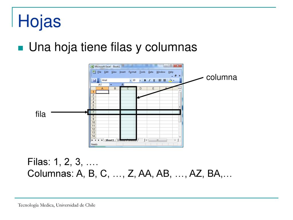 Hojas Una hoja tiene filas y columnas Filas: 1, 2, 3, ….