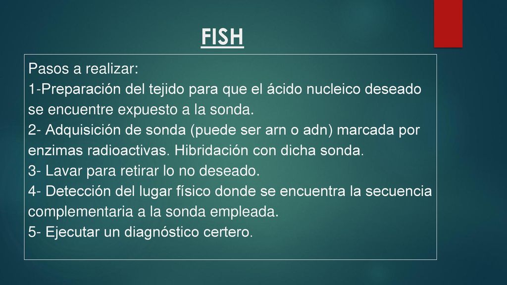 FISH Pasos a realizar: 1-Preparación del tejido para que el ácido nucleico deseado se encuentre expuesto a la sonda.