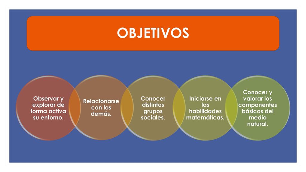 OBJETIVOS Observar y explorar de forma activa su entorno.