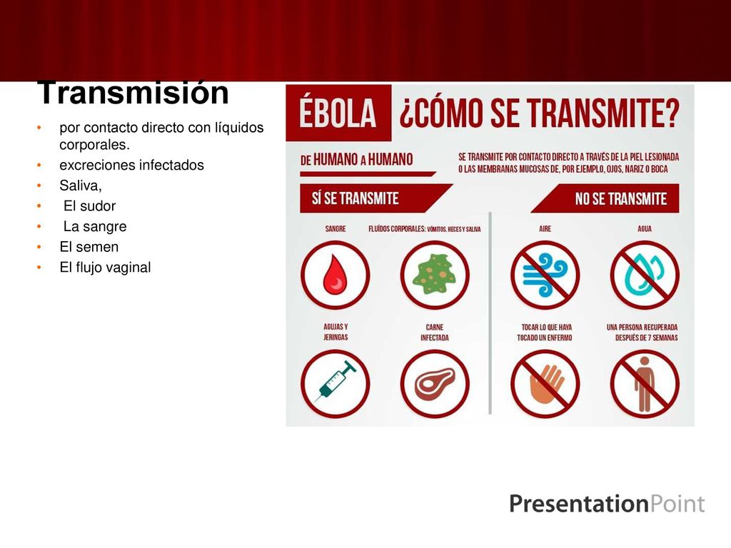 Transmisión por contacto directo con líquidos corporales.