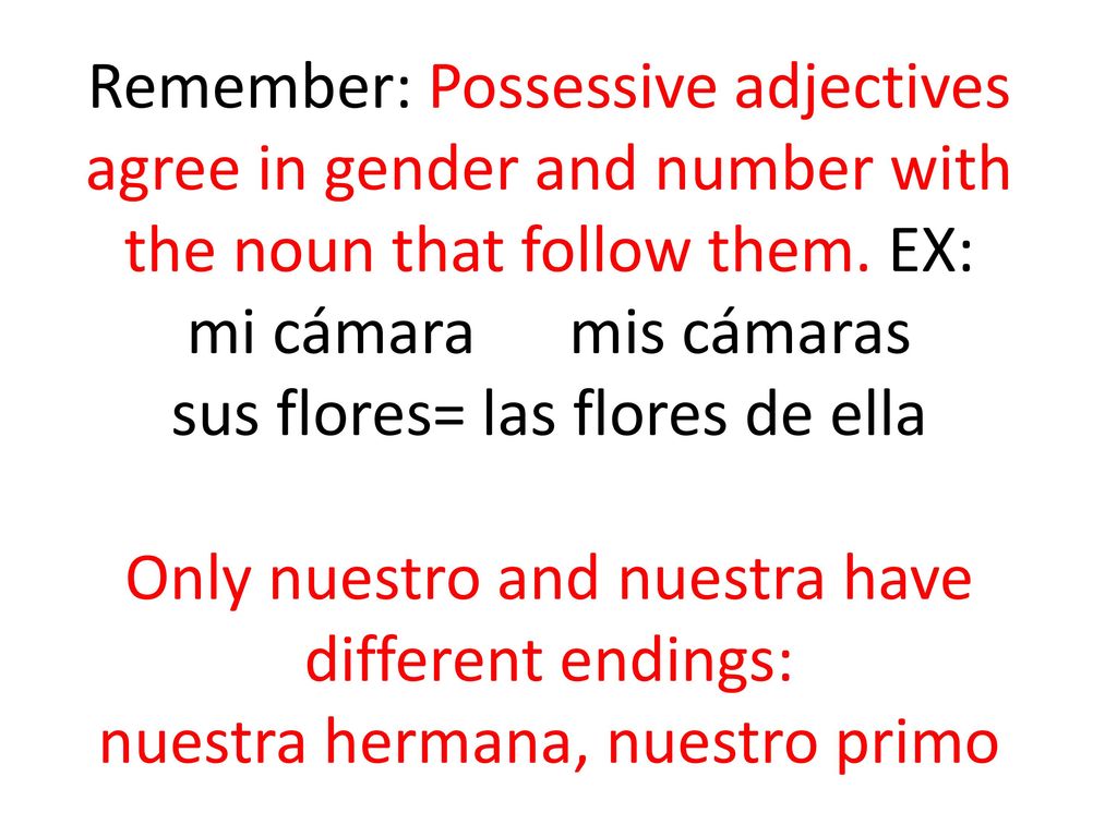 Remember: Possessive adjectives agree in gender and number with the noun that follow them.