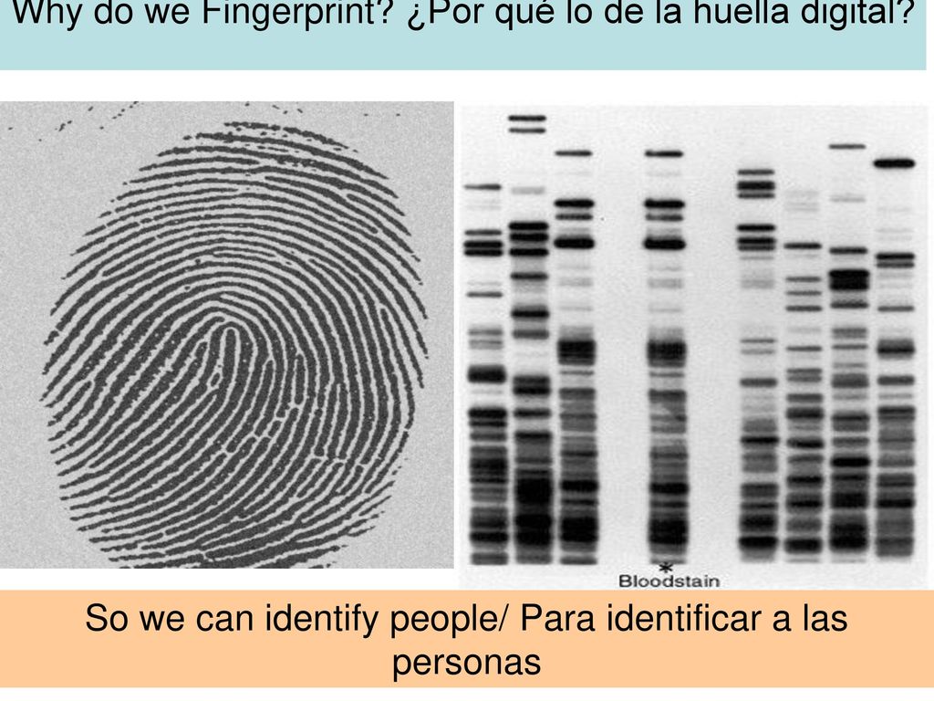 Why do we Fingerprint ¿Por qué lo de la huella digital