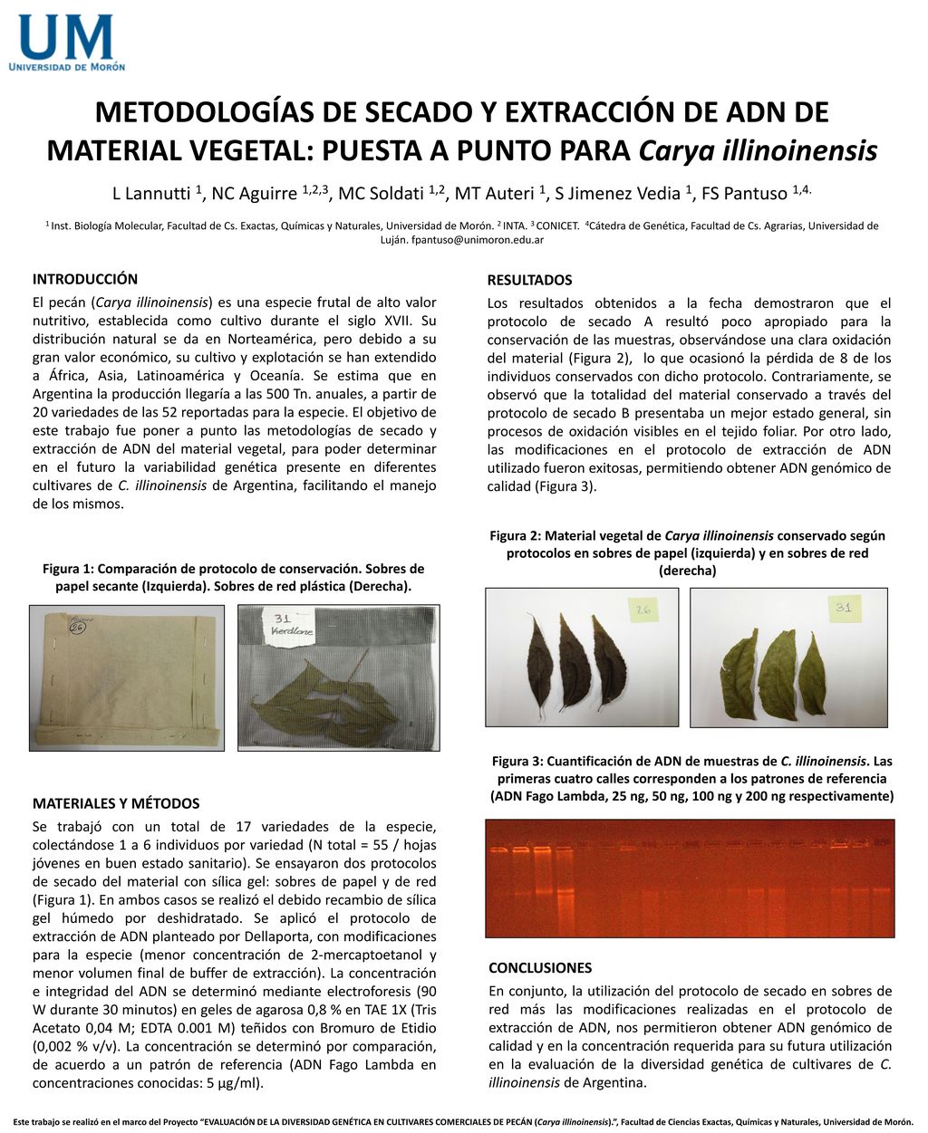 METODOLOGÍAS DE SECADO Y EXTRACCIÓN DE ADN DE MATERIAL VEGETAL: PUESTA A PUNTO PARA Carya illinoinensis
