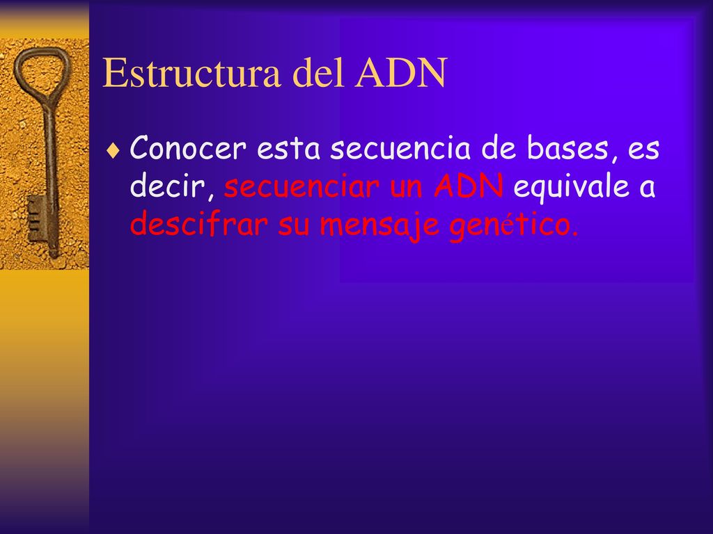 Estructura del ADN Conocer esta secuencia de bases, es decir, secuenciar un ADN equivale a descifrar su mensaje genético.