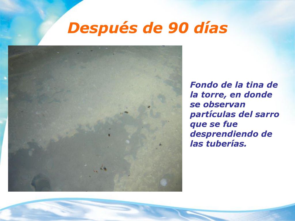 Después de 90 días Fondo de la tina de la torre, en donde se observan partículas del sarro que se fue desprendiendo de las tuberías.