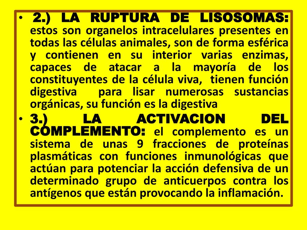 2.) LA RUPTURA DE LISOSOMAS: estos son organelos intracelulares presentes en todas las células animales, son de forma esférica y contienen en su interior varias enzimas, capaces de atacar a la mayoría de los constituyentes de la célula viva, tienen función digestiva para lisar numerosas sustancias orgánicas, su función es la digestiva